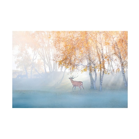 Simoon  'Elk Lost In Mist' Canvas Art, 22x32